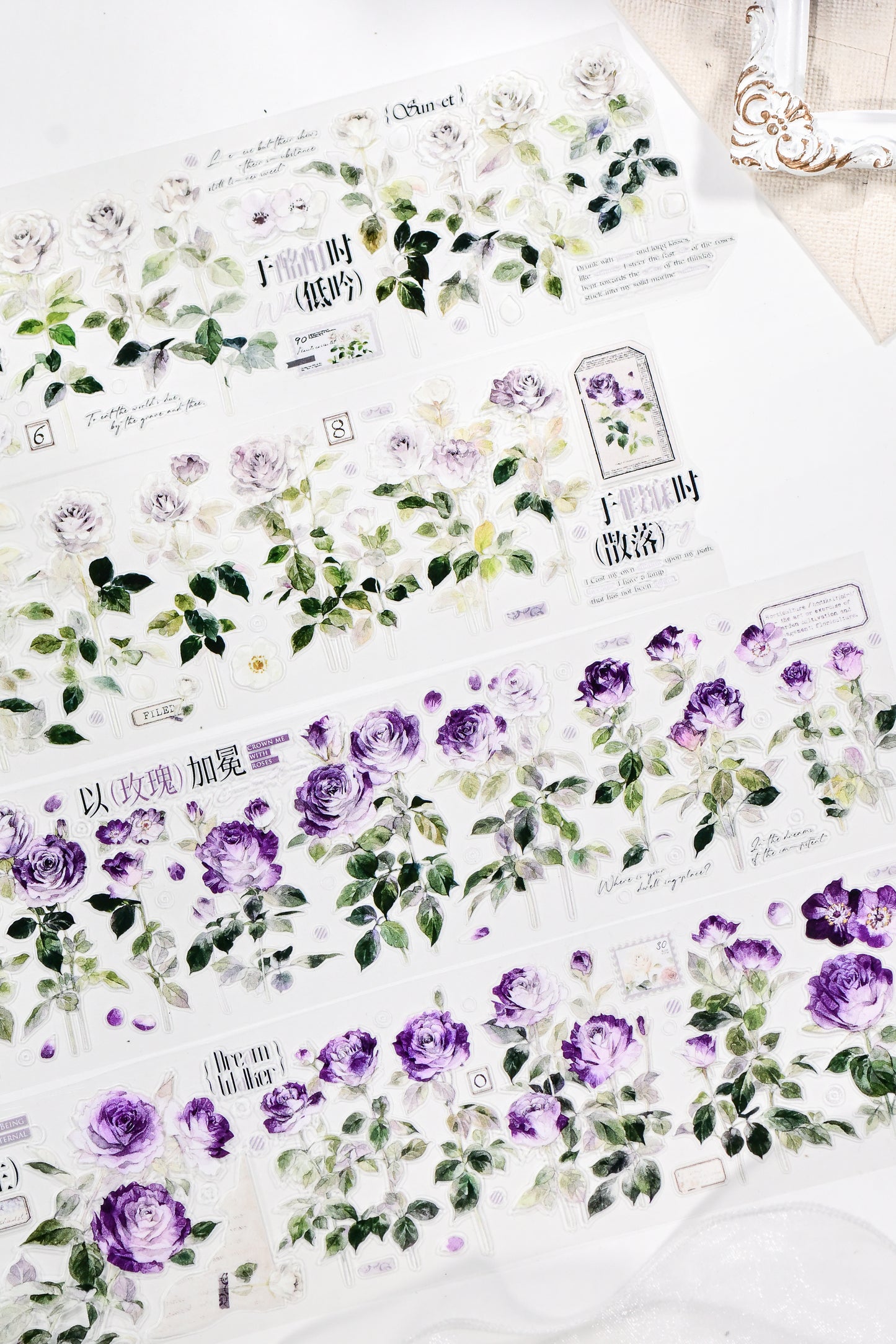 No Man's Land — Vintage Die-Cut PET Tape, Korean Aesthetic Journaling Tape | Glacier Journal