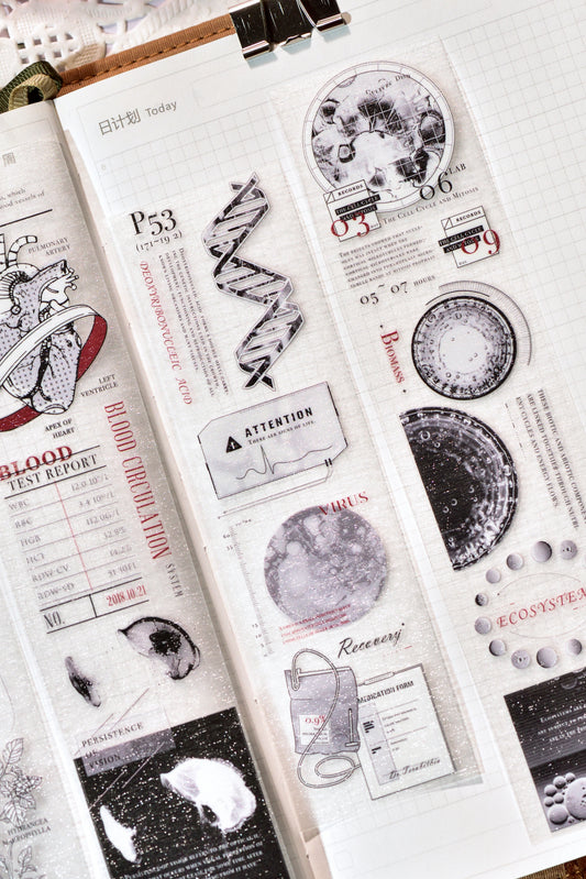 Bio-Code PET tape