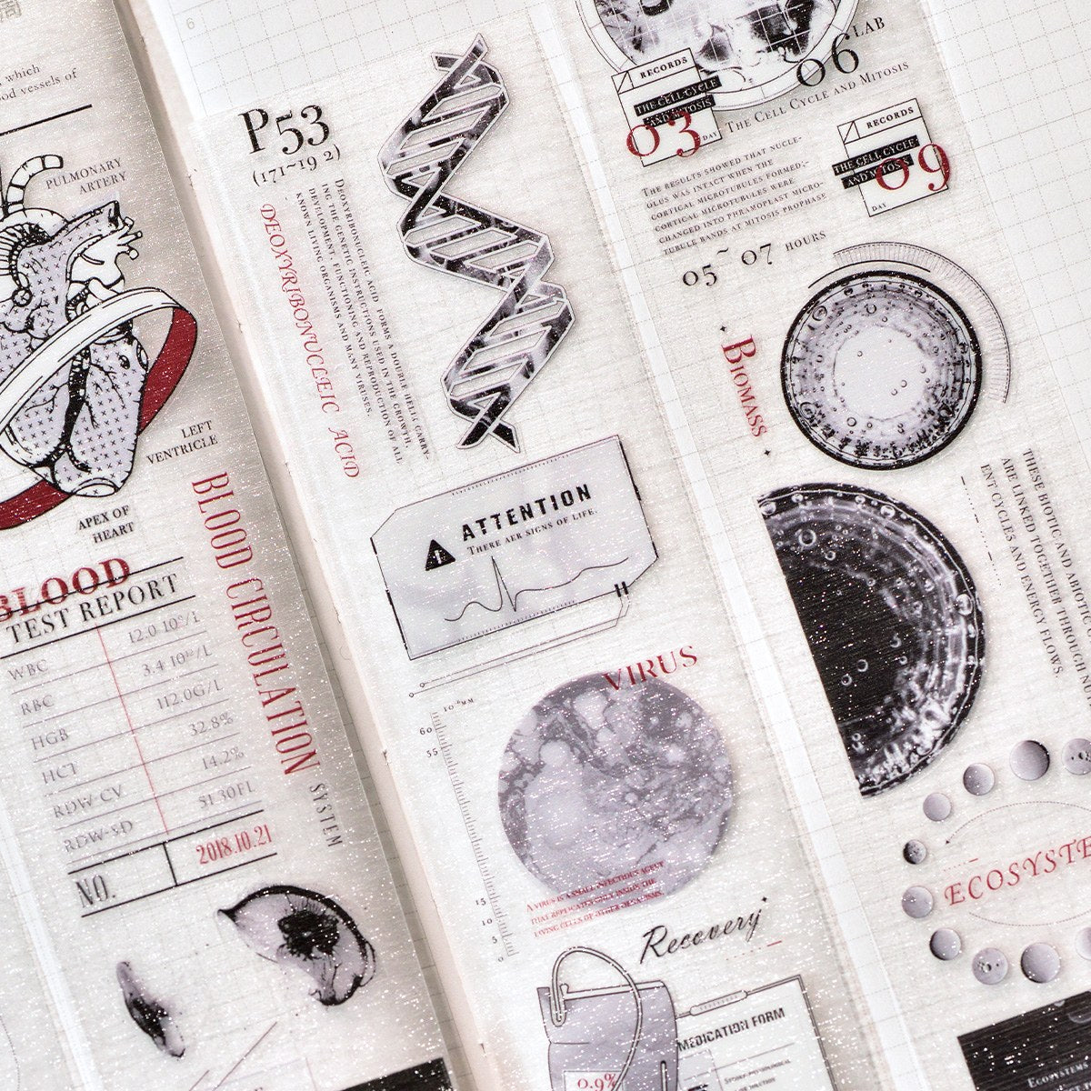 Bio-Code PET tape